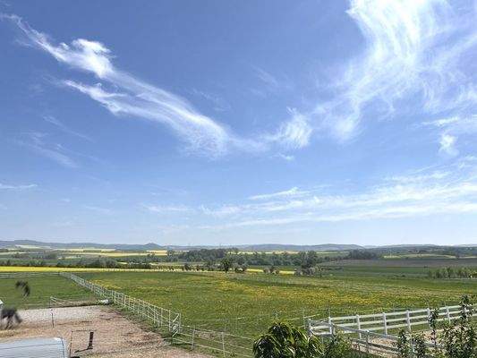 Blick auf den Außenbereich und Pferdekoppeln