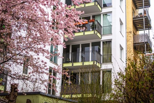 Südbalkon