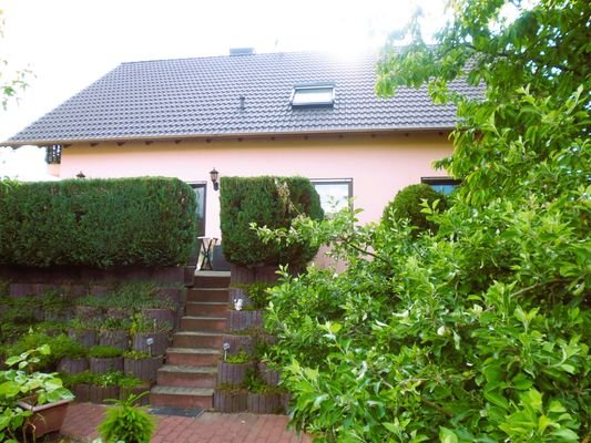 Blick von hinten Auf Haus und bewachsener Terrasse