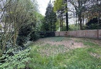 Blick in den Garten