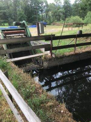 Wasserkraft