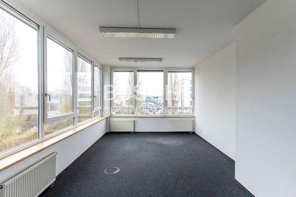 hohe Fenster