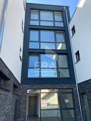 WhatsApp Image 2023-08-12 at 12.39.54