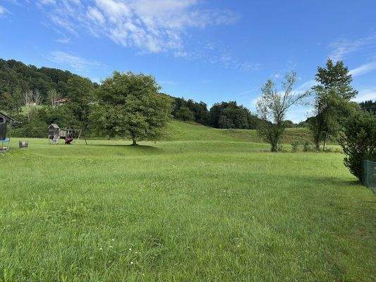 Weitere Impressionen vom Grundstück (Aussenbereich nach Norden)