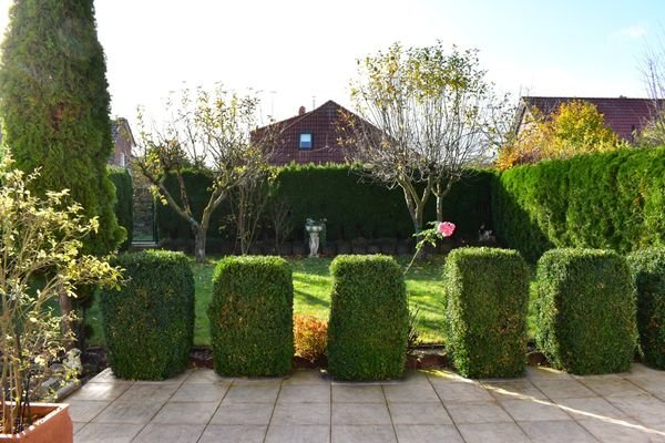 20 Garten 2
