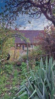 Rückansicht vom Garten