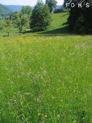 Bad-Überk.Flur 728/0=2.199 m² Eichholz 6 