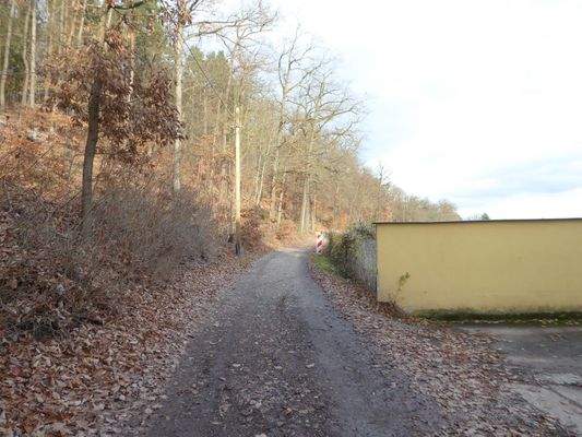 Zufahrtsstraße -Unterm Hain-