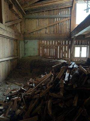 Mühlwald_Hof_Bauernhaus_Sanierungsbedürftig_Sand i