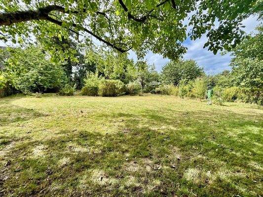 Großzügiger Garten