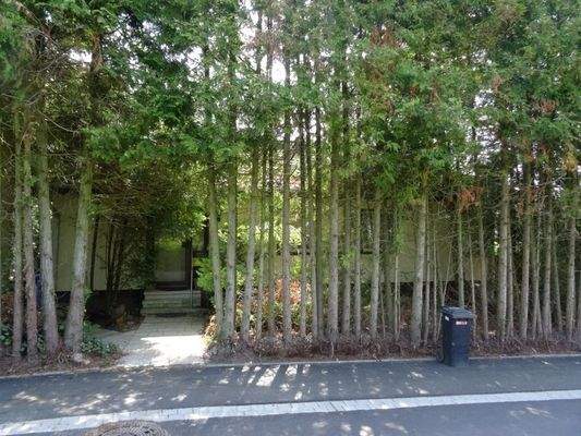 Willingshausen, Strassenseite