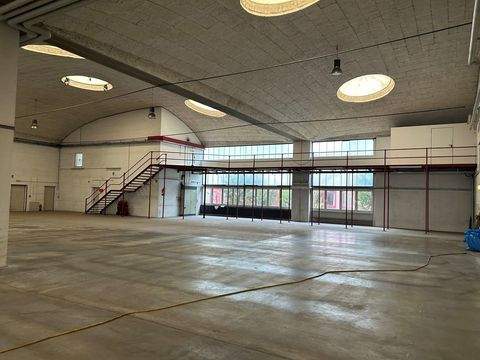 Staufenberg Halle, Staufenberg Hallenfläche