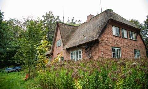 Husum Häuser, Husum Haus kaufen