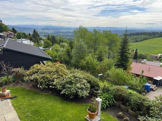 Ein Blick in den Garten