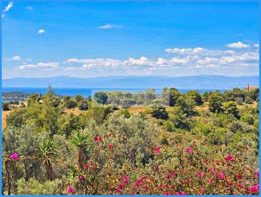 45b1d1e151c64c0b940cb803b978fe67-original