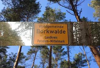 Waldgemeinde_Borkwalde