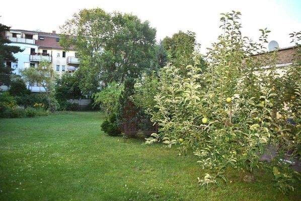 Garten mit Apfelbaum.jpg