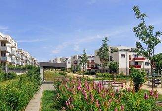 250617_Kleekamp_JS_163