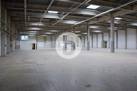 Hamburg Halle, Hamburg Hallenfläche