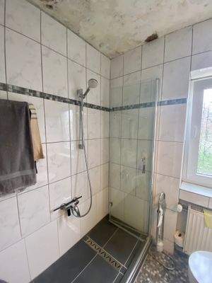 10/ Erdgeschoss: Barrierefreies Duschbad. Renoviert 2022 - außer das Fenster.