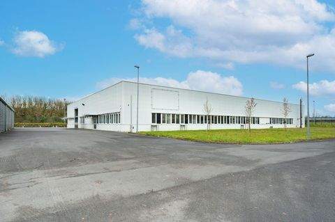 Würzburg Halle, Würzburg Hallenfläche