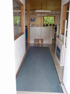 Eingangsbereich mit Empfang