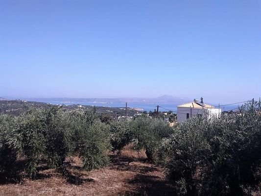 Olivenhain mit Meerblick und Baugenehmigung in Aspro