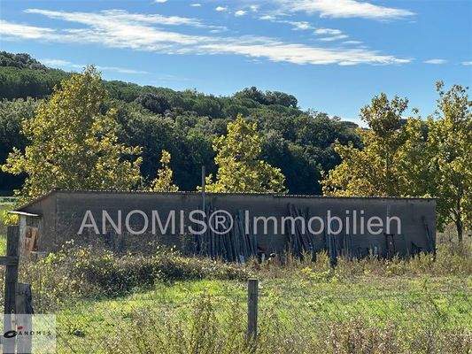 Gebäude auf dem Grundstück