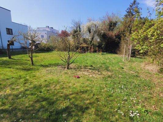 Gartengrundstück zur Bebauung geeignet