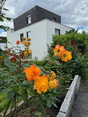 REH mit viel Platz und schönem Garten.jpg