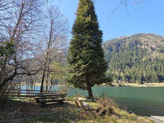 Frühling am Seegrund