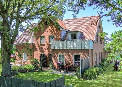Friedrichskoog Häuser, Friedrichskoog Haus kaufen