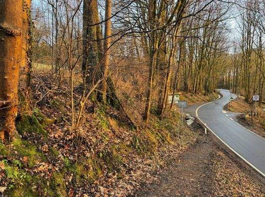 Blick von der Straße