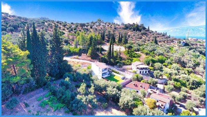 c4833a296b1a468db2f777a809a68fc3-original