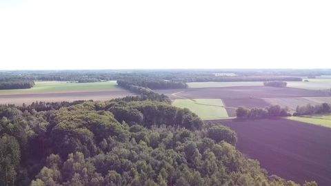 Harpstedt Bauernhöfe, Landwirtschaft, Harpstedt Forstwirtschaft