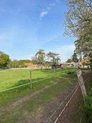 Blick auf Grünflächen und Trail