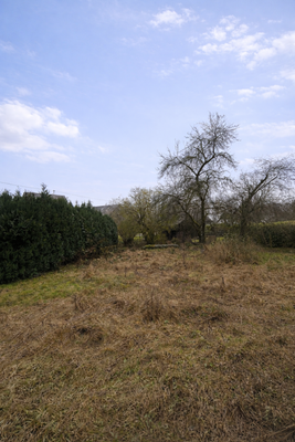 30488361-185C-483A-B453-853019D7A965