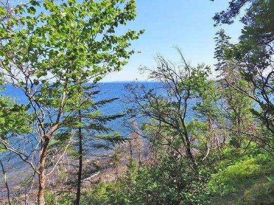 Cape Breton - Roberta - Einzigartiges 79-Hektar-Ar