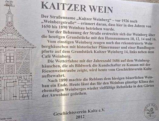 Information zum Kaitzer Wein