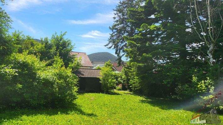 20240530_105344_resized