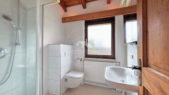 EG Tageslichtbad mit Dusche