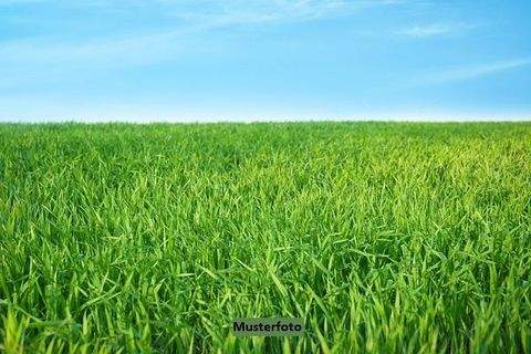 Löhnfeld Bauernhöfe, Landwirtschaft, Löhnfeld Forstwirtschaft