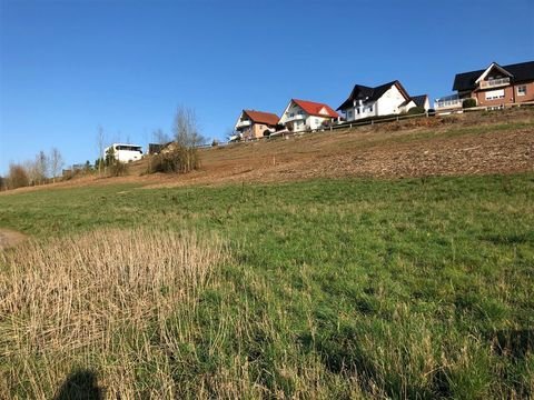 Beverungen Grundstücke, Beverungen Grundstück pachten