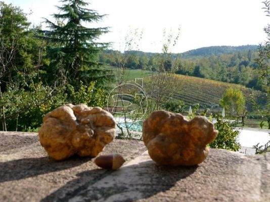 Haus in Rapolano Terme