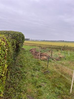 IMG_9992