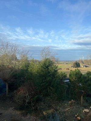 WhatsApp Image 2025-12-28 at 14.18.49.jpeg