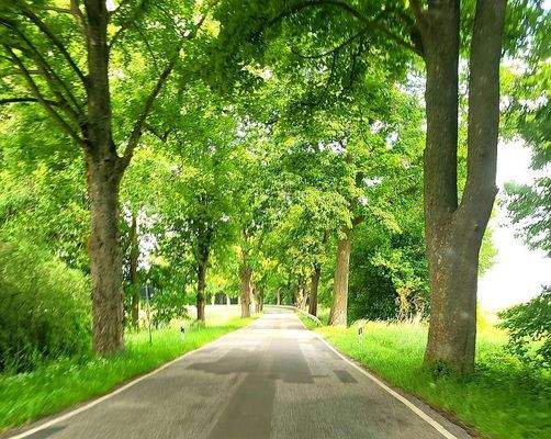 auf dem Weg nach Banzin