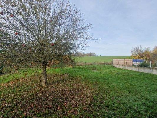 Aussicht vom Wohnzimmer