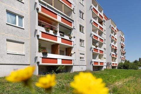 Halle (Saale) Wohnungen, Halle (Saale) Wohnung mieten