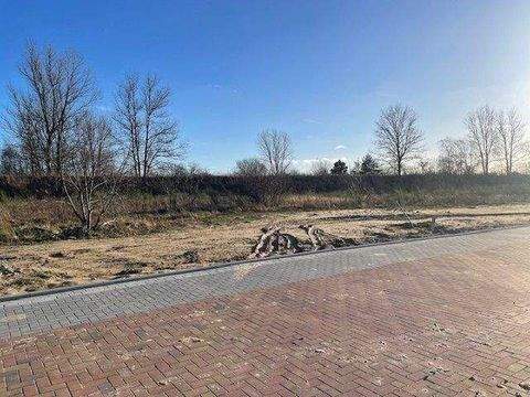 Lubmin Grundstücke, Lubmin Grundstück kaufen